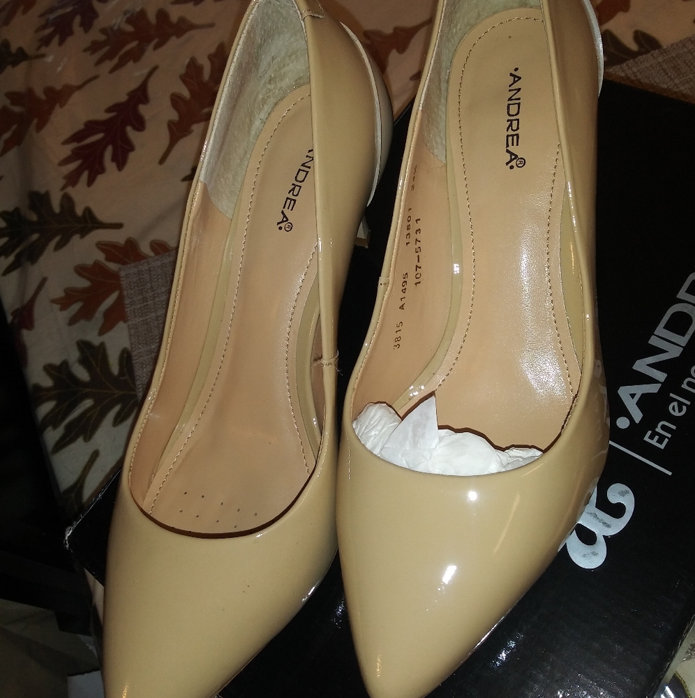 Nude Pointed Toe Pumps